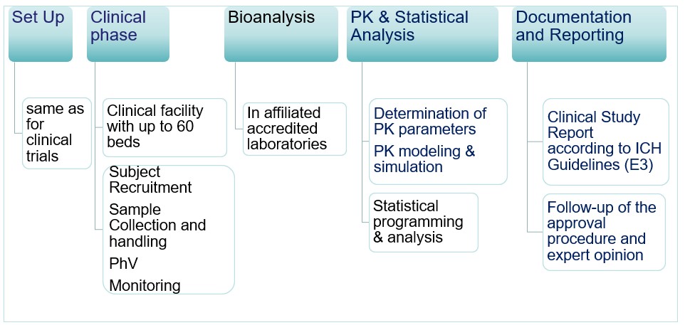 BECRO offers Bioequivalence and PK Studies